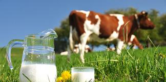 Как кипятить молоко: посуда, время, советы Как правильно кипятить молоко чтобы не пригорело